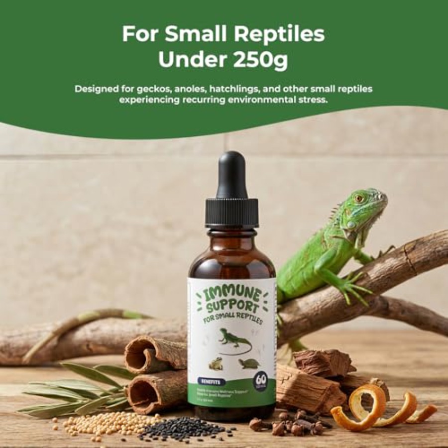 【Spot goods】Herbal Reptile Sup - Herbal Wellness Liquid avis et prix